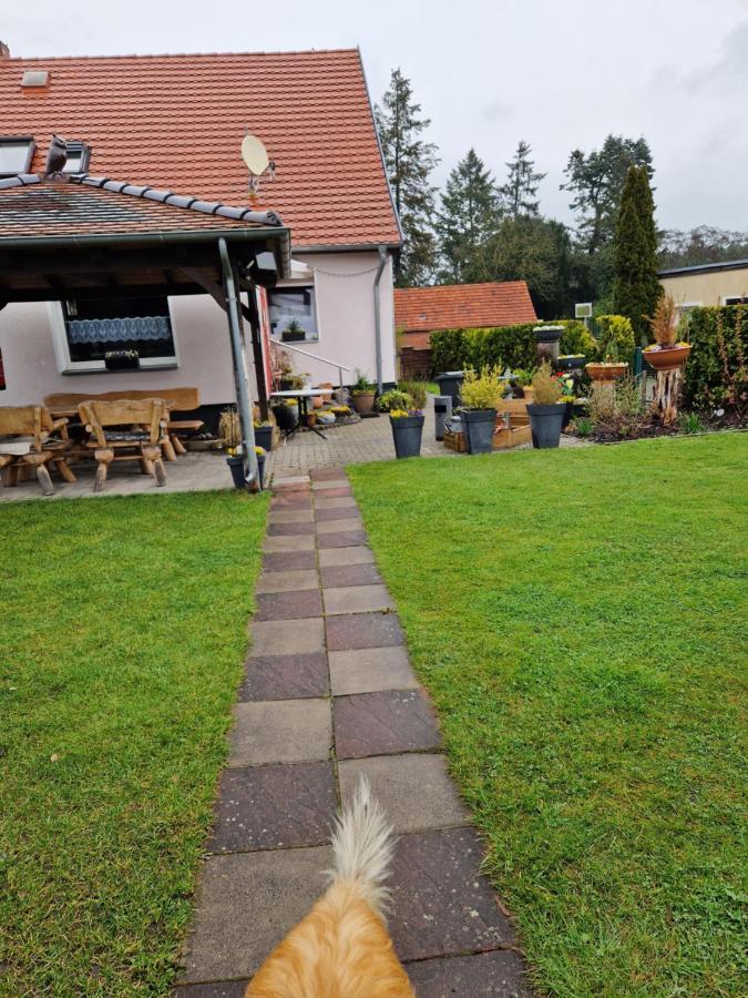 Ferienhaus Schneider Wulkau Екстериор снимка